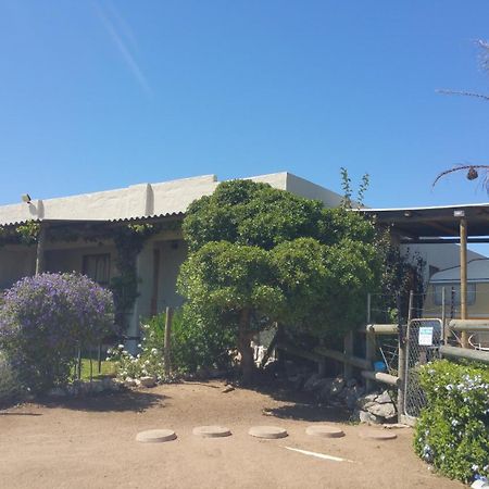The Stables Accommodation Langebaan Bagian luar foto