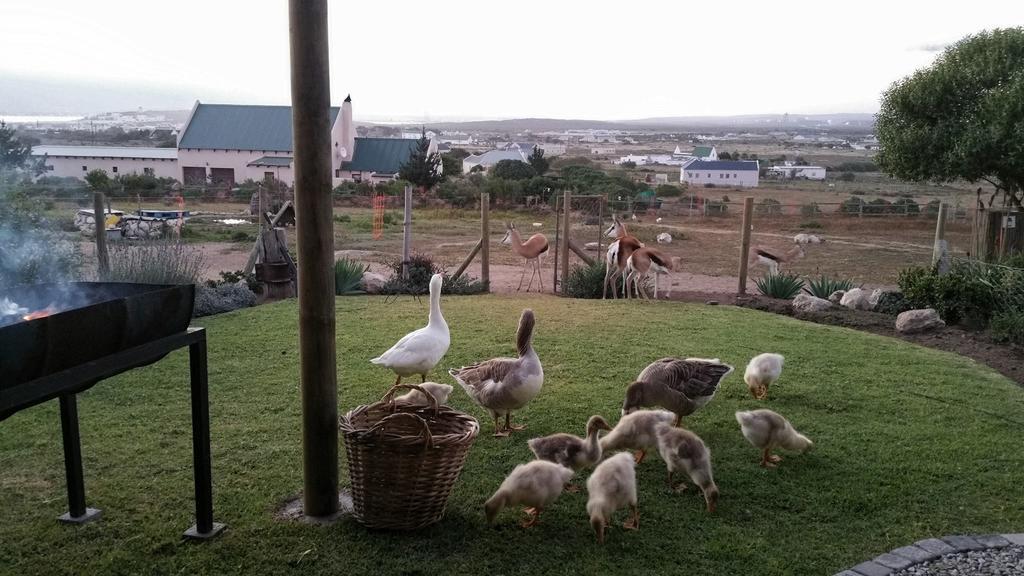 The Stables Accommodation Langebaan Ruang foto