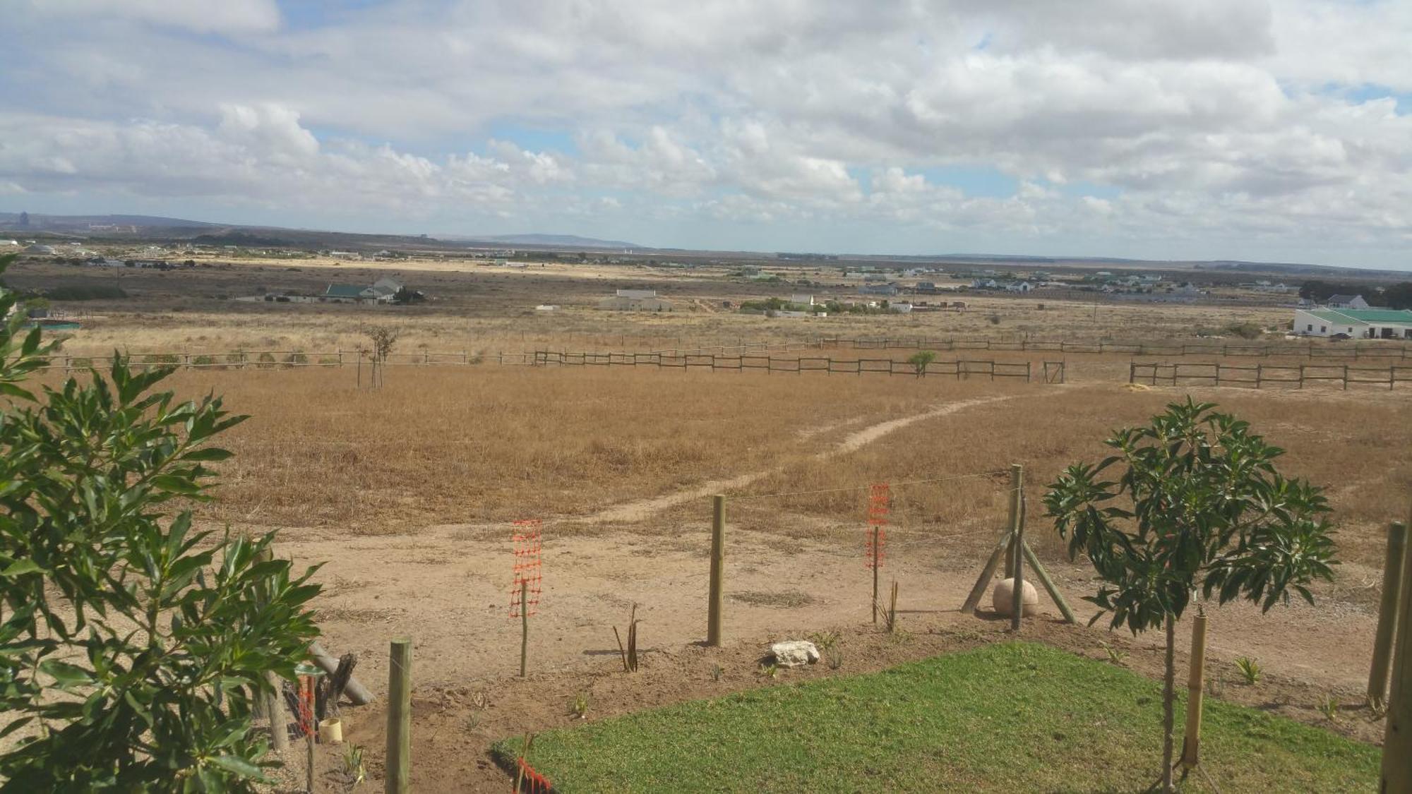 The Stables Accommodation Langebaan Bagian luar foto