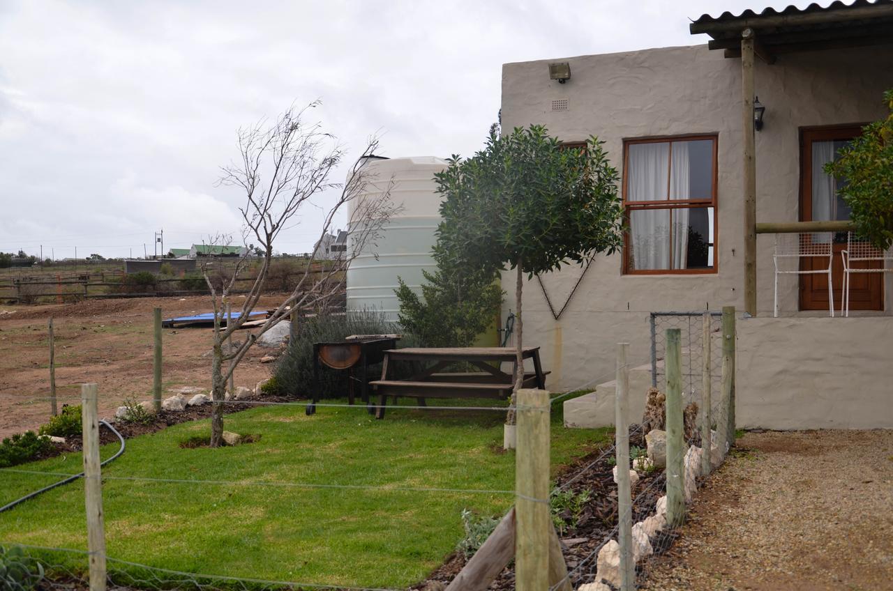 The Stables Accommodation Langebaan Bagian luar foto
